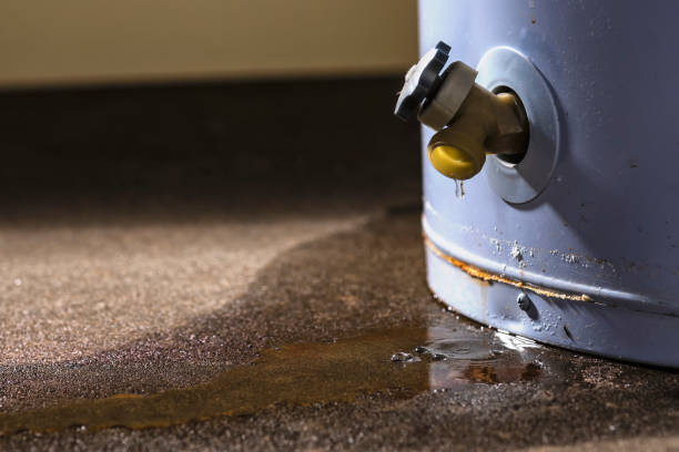Best Water damage contractors near me  in Pine Castle, FL