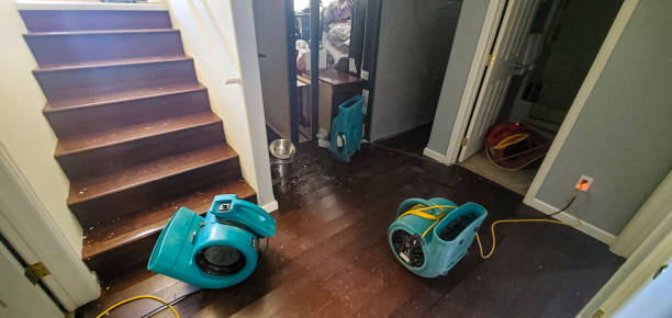 Best Fire Damage Restoration  in Pine Castle, FL