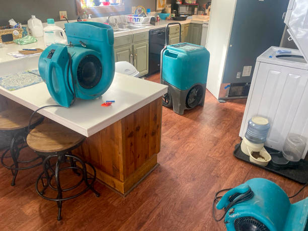 Best Water damage restoration insurance claims  in Pine Castle, FL