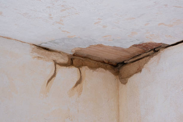 Best Ceiling water damage repair  in Pine Castle, FL