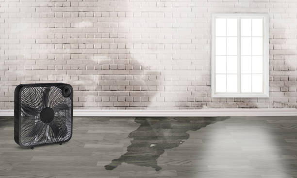 Trusted Pine Castle, FL Water damage restoration Experts