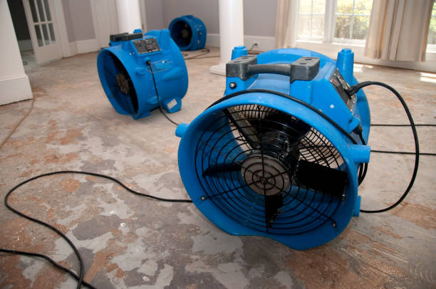 Best Ceiling water damage repair  in Pine Castle, FL