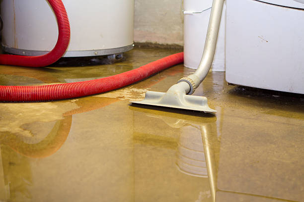 Best Professional water damage repair  in Pine Castle, FL