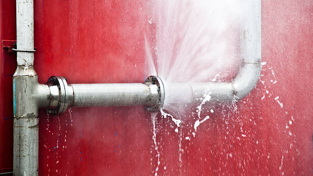 Best Basement water damage restoration  in Pine Castle, FL